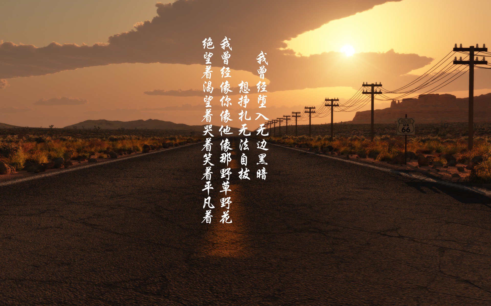 -_城市水上运动节：划船、冲浪轮番上演_，水上划船项目