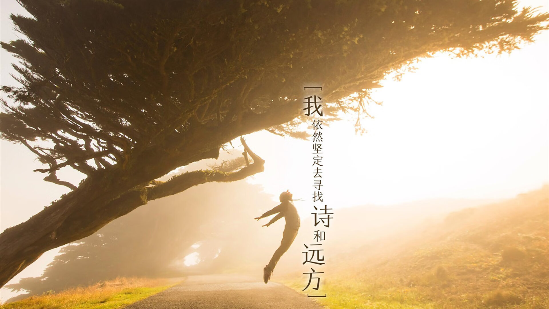 今年联盟“三分命中率”排名都有哪些令人惊喜的队伍？，nba联盟三分命中率第一