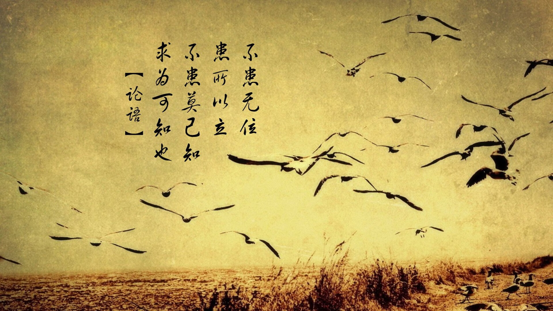 九游网页版官网-青少年足球比赛广泛开展，培养少年竞技精神和团队合作能力，青少年足球比赛方案
