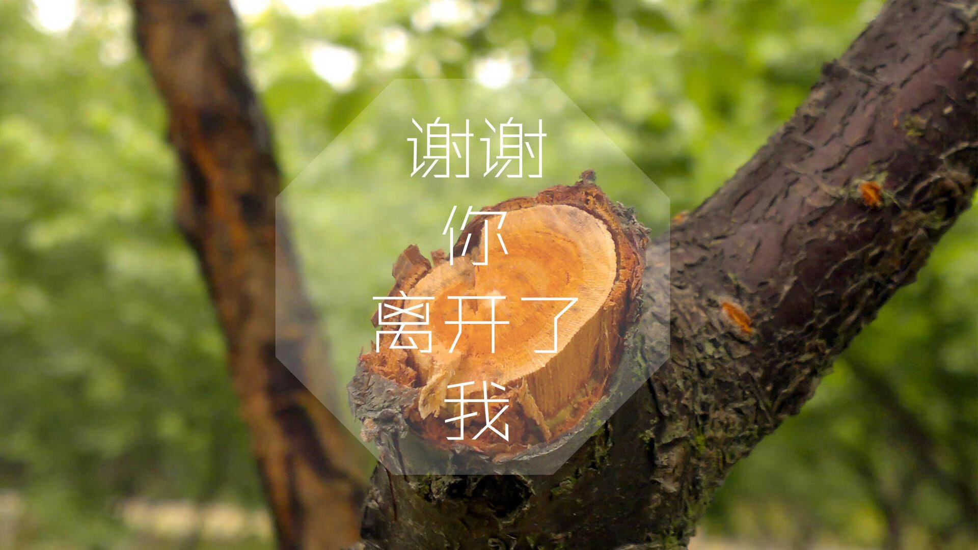 高校运动损伤康复技术研究与推广，运动损伤康复专业排名