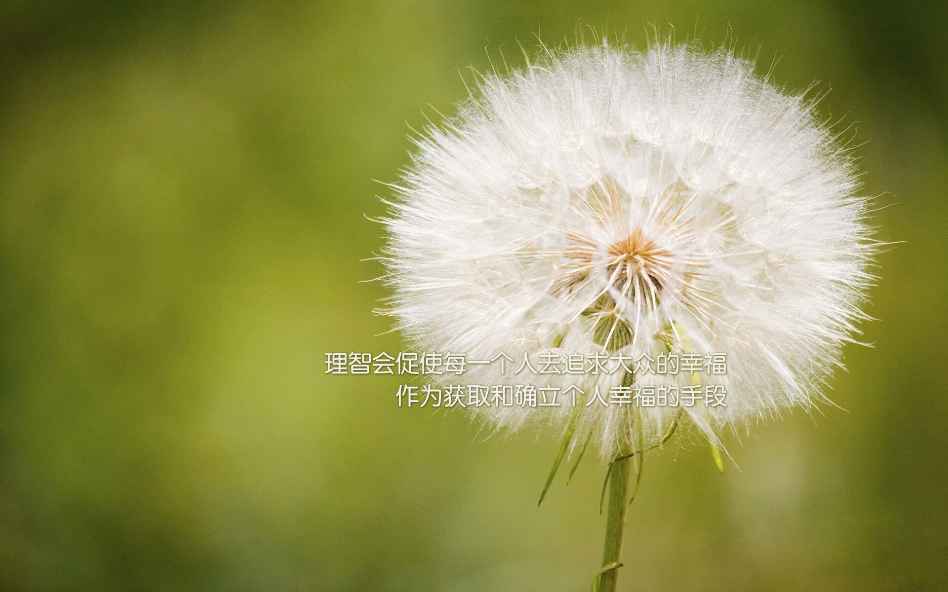 九游娱乐(jiuyou)官网-CBA联盟推进俱乐部品牌建设，cba联盟组织架构