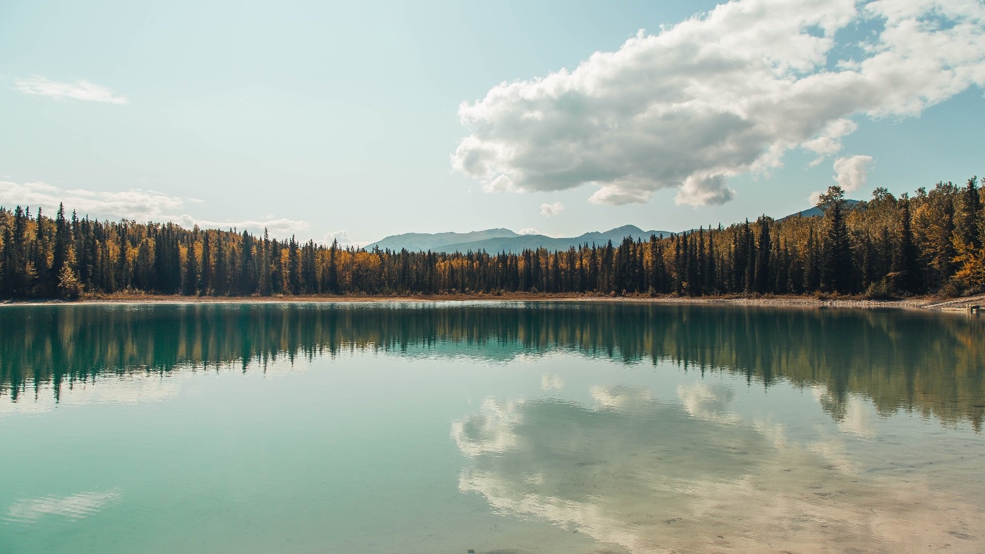九游下载中心-体能训练专项课实施后球员平均速度与爆发力双双提升，职业球员体能训练