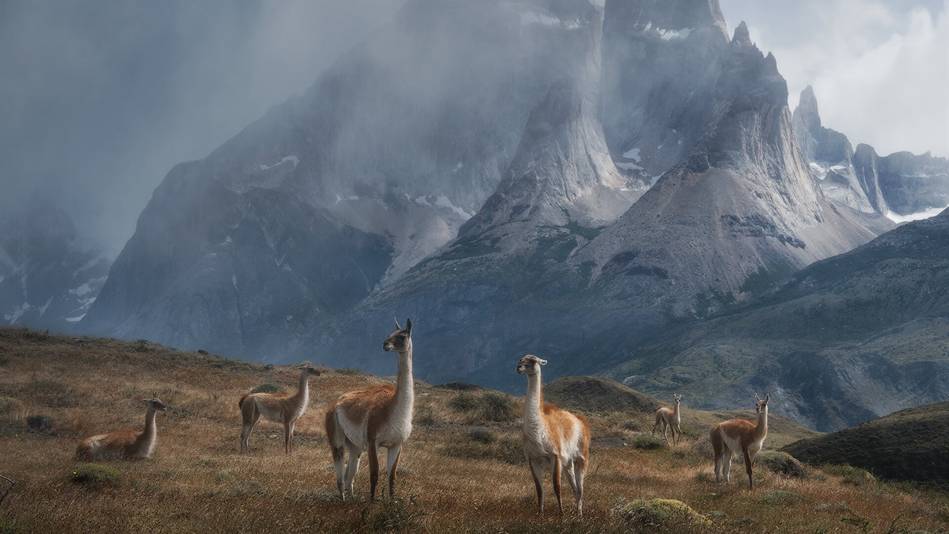 九游(jiuyou)官方网站-南非羚羊队：防线如钢铁般坚固，进攻则如猛兽般凌厉，东非羚羊