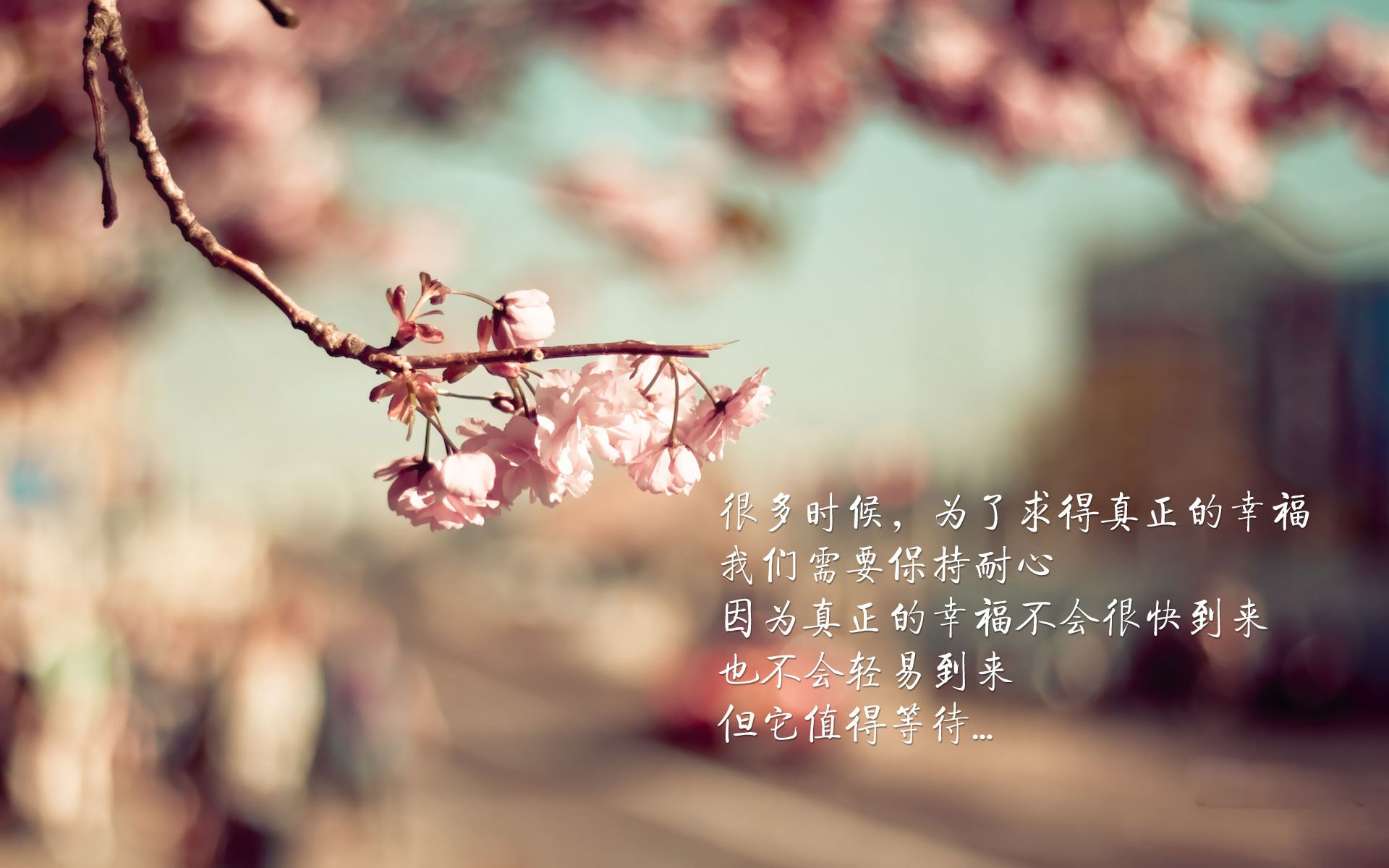 九游下载官网-斯洛伐克男篮在欧洲大赛中奋勇追逐，迈向更高的荣誉舞台，斯洛伐克篮球球星