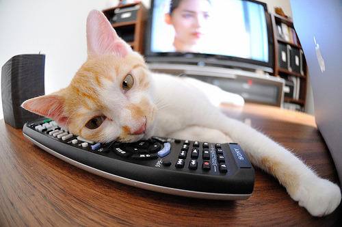 九游app下载中心-格雷琴·沃尔什完美触壁问鼎冠军，格雷沃尔特