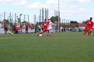 九游网-特色足球运动场设计结合智慧城市理念，实现多功能利用，趣味足球场设计