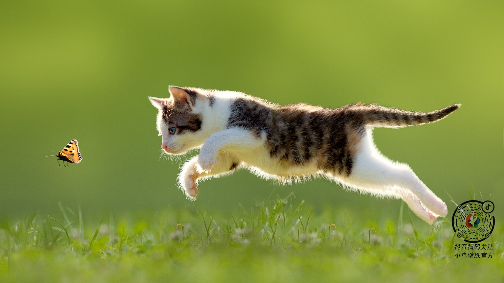 九游娱乐官网 (JIUYOU)-老将状态回暖成为球队稳定军心的重要砝码，老将nba