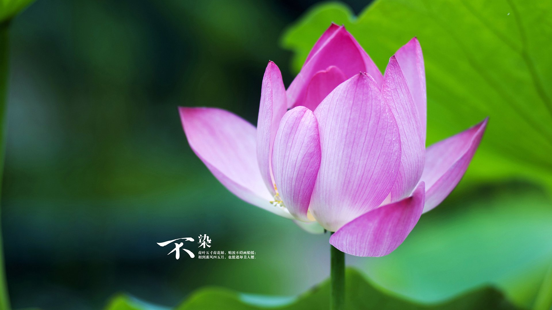 雷霆助教亲自指导球员选择最佳出手时机，雷霆队助攻记录