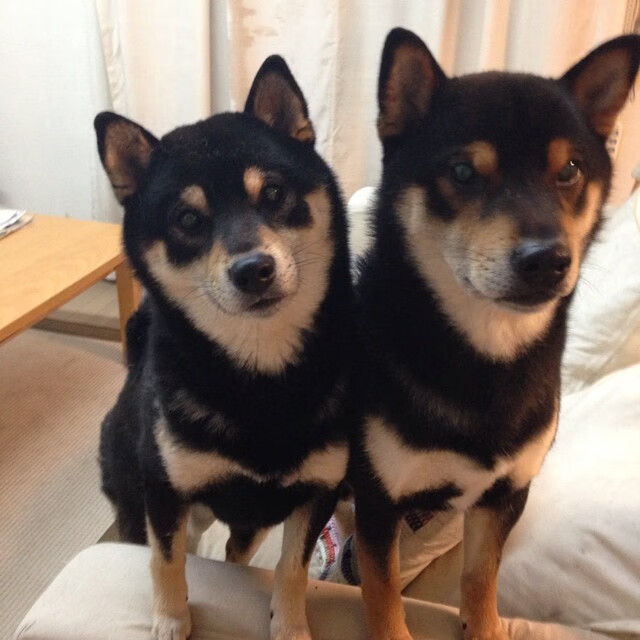 九游APP官网-马刺社交媒体回顾经典比赛片段引发粉丝共鸣，马刺视频